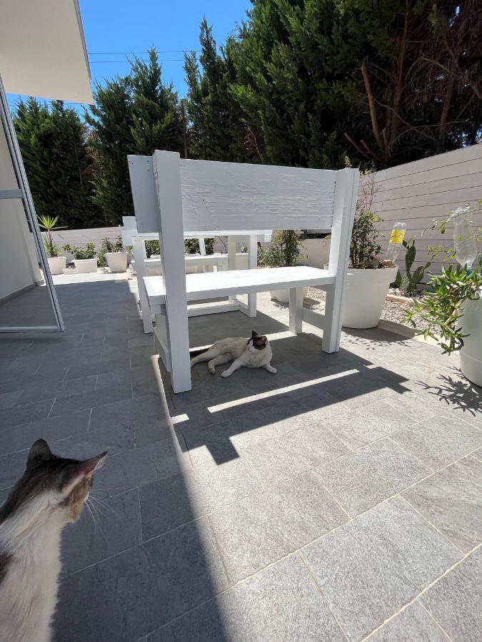 La Casa Di Nina Bed & Breakfast Lecce Exterior foto